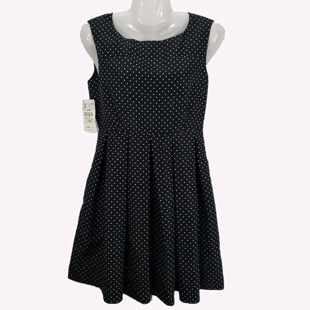 Zara Polka Dot Pleated Fit and Flare Dress